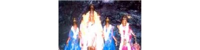 48. திருப்பாடகம் (பாண்டவ தூதர் கோயில்)